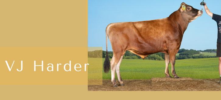 Kopi Af Article Entry Tyr 7