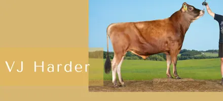 Kopi Af Article Entry Tyr 7