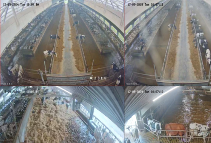 Billeder Fra Smartfarming Kameraoptagelser