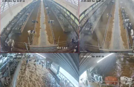 Billeder Fra Smartfarming Kameraoptagelser