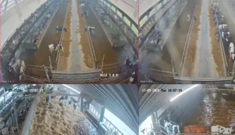 Billeder Fra Smartfarming Kameraoptagelser