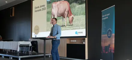 Article Entry Spotreference Image (726X330 Px) (3) (1)