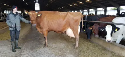 4890 På Fodergangen