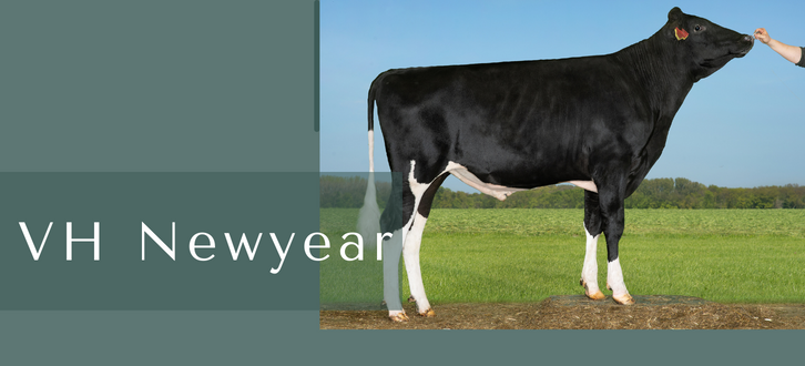 ARTICLE ENTRY TYR (24)