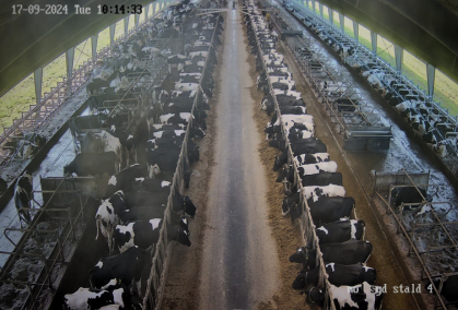 Billede Fra Smartfarming Kameraoptagelser