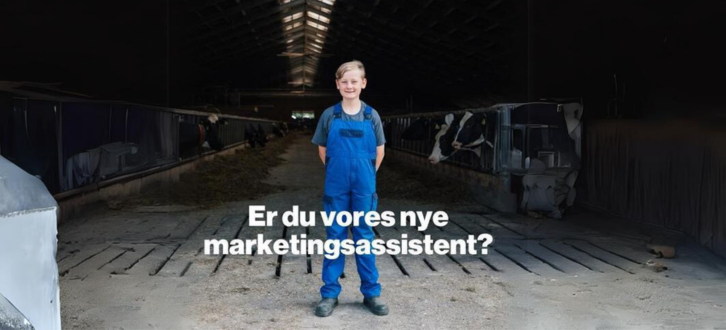 Kopi Af ARTICLE ENTRY TYR (4)