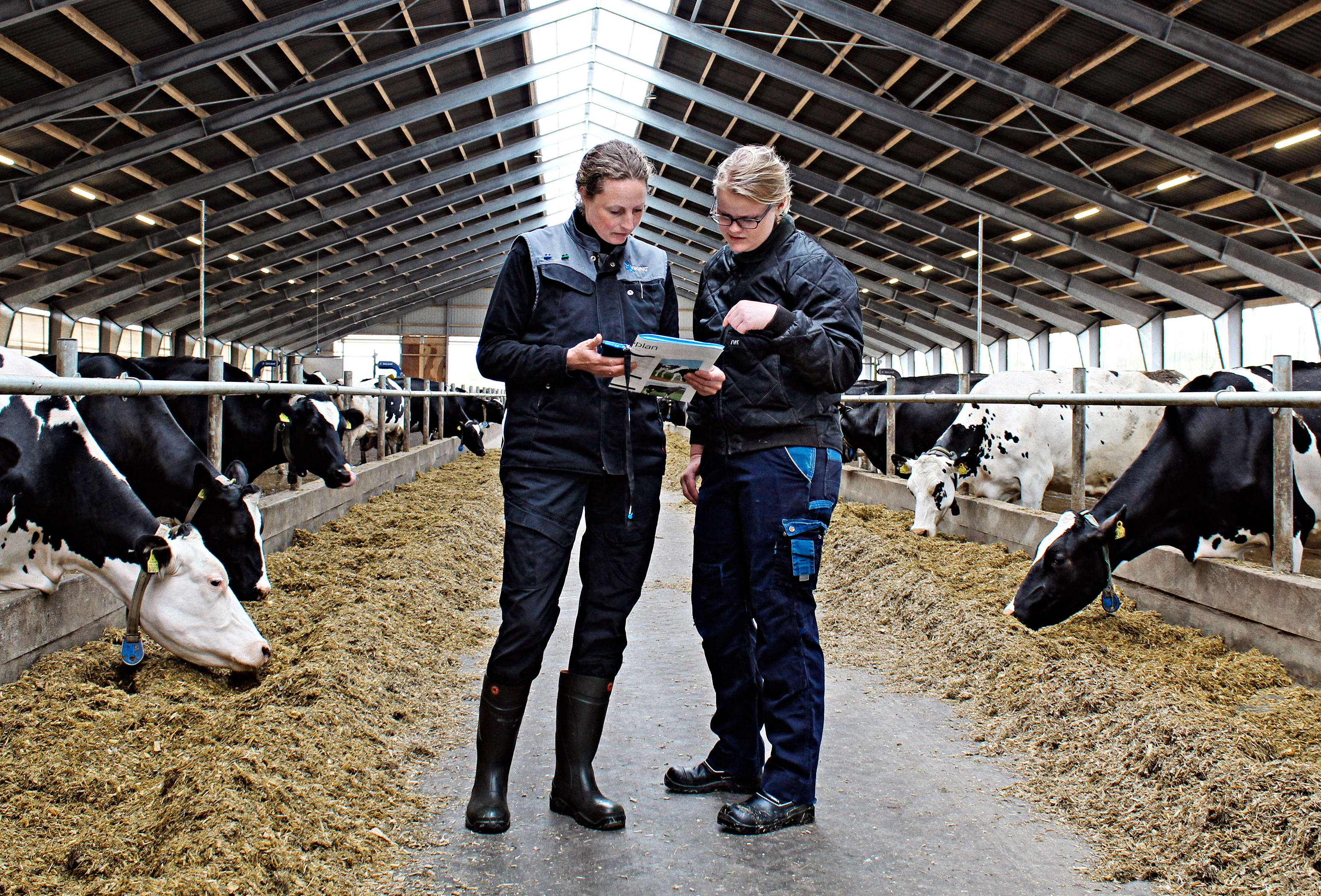 hero spot home page alt txt