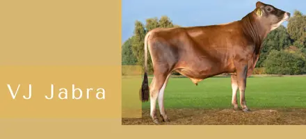 ARTICLE ENTRY TYR (1) (3)