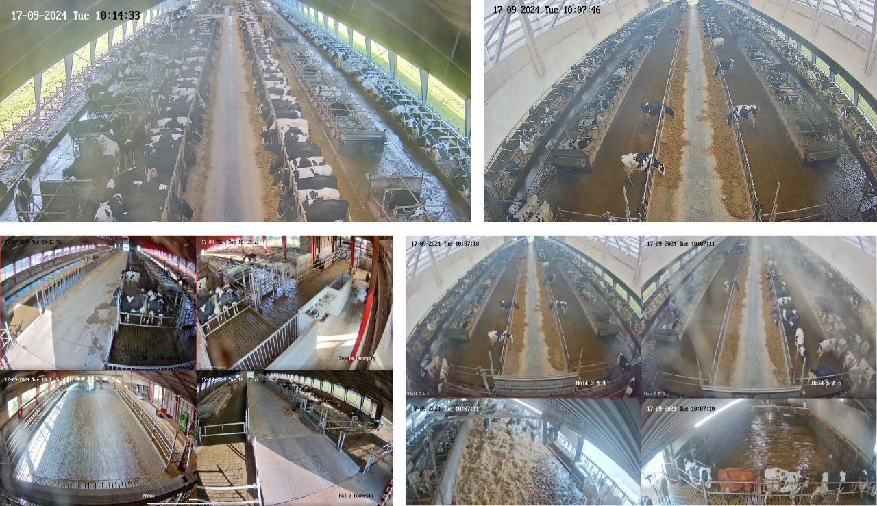 Kamerafoto Fra Viking Smartfarming App