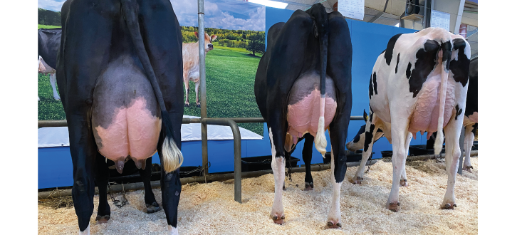 Articleentry Agronord2