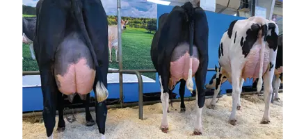 Articleentry Agronord2