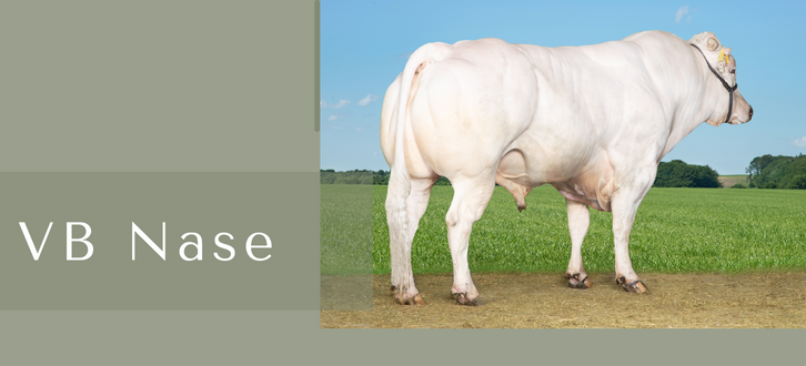 ARTICLE ENTRY TYR (23)